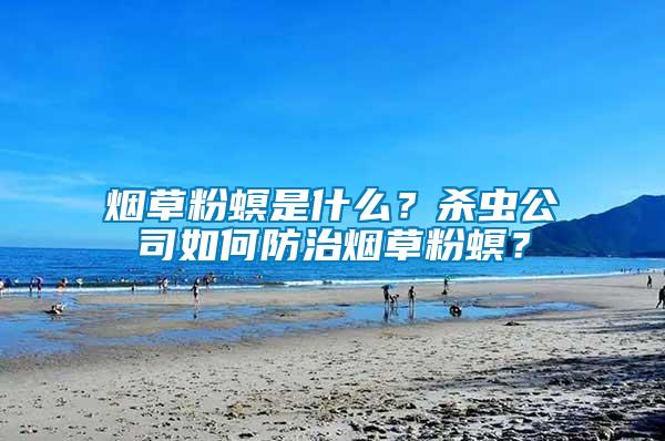 煙草粉螟是什么？殺蟲公司如何防治煙草粉螟？