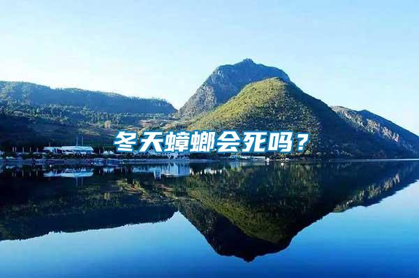 冬天蟑螂會死嗎？