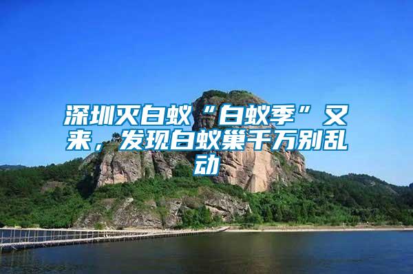 深圳滅白蟻“白蟻季”又來，發(fā)現(xiàn)白蟻巢千萬別亂動(dòng)