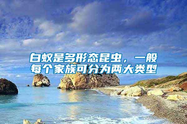白蟻是多形態(tài)昆蟲，一般每個(gè)家族可分為兩大類型