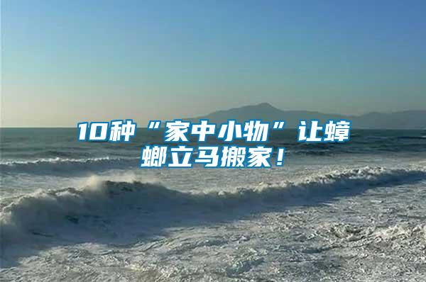 10種“家中小物”讓蟑螂立馬搬家！
