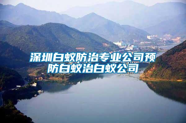 深圳白蟻防治專(zhuān)業(yè)公司預(yù)防白蟻治白蟻公司
