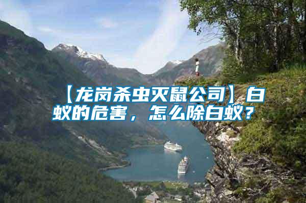 【龍崗殺蟲(chóng)滅鼠公司】白蟻的危害，怎么除白蟻？