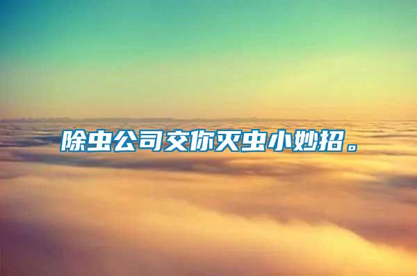除蟲公司交你滅蟲小妙招。
