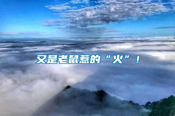 又是老鼠惹的“火”！