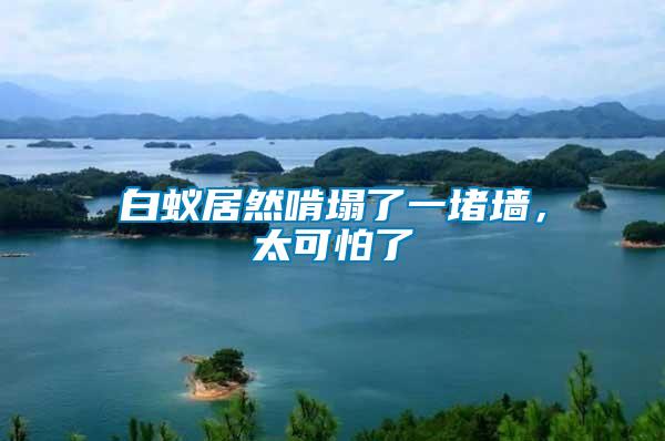 白蟻居然啃塌了一堵墻，太可怕了