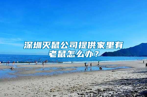 深圳滅鼠公司提供家里有老鼠怎么辦？