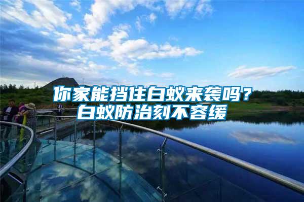 你家能擋住白蟻來襲嗎？白蟻防治刻不容緩