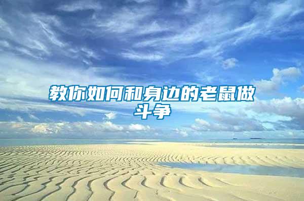 教你如何和身邊的老鼠做斗爭(zhēng)