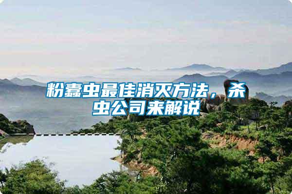 粉蠹蟲最佳消滅方法，殺蟲公司來解說