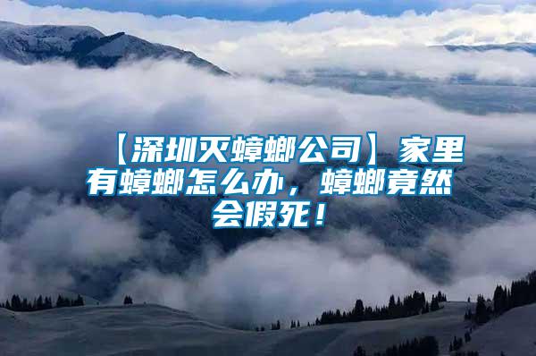【深圳滅蟑螂公司】家里有蟑螂怎么辦，蟑螂竟然會(huì)假死！
