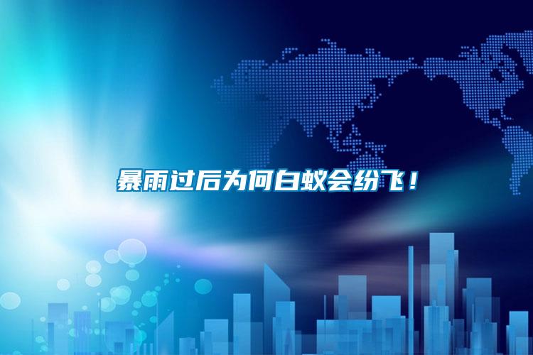 暴雨過后為何白蟻會(huì)紛飛！