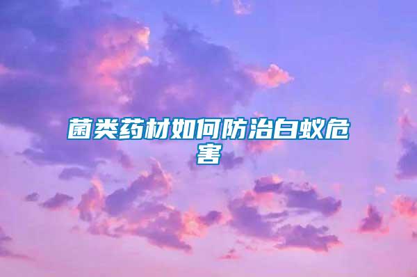 菌類(lèi)藥材如何防治白蟻危害