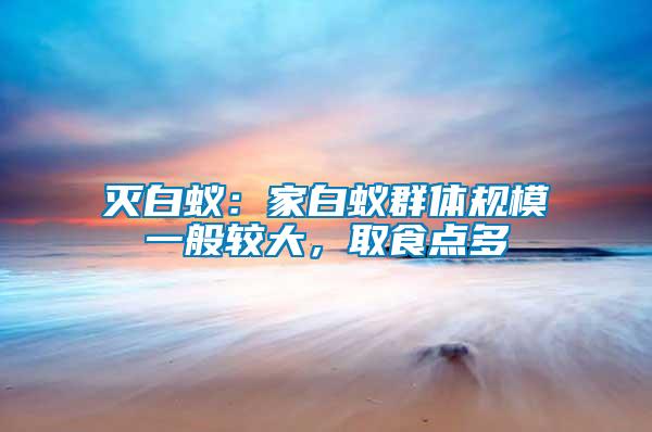 滅白蟻：家白蟻群體規(guī)模一般較大，取食點多