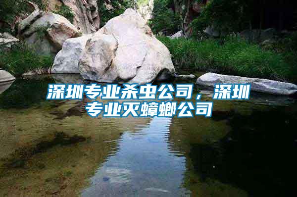 深圳專(zhuān)業(yè)殺蟲(chóng)公司，深圳專(zhuān)業(yè)滅蟑螂公司