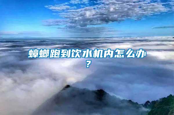 蟑螂跑到飲水機(jī)內(nèi)怎么辦？