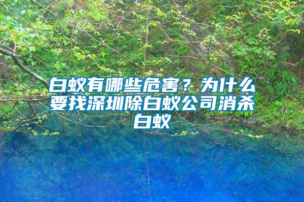 白蟻有哪些危害？為什么要找深圳除白蟻公司消殺白蟻