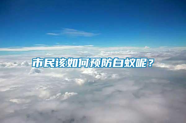 市民該如何預防白蟻呢？