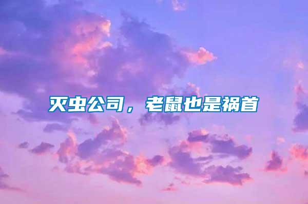 滅蟲(chóng)公司，老鼠也是禍?zhǔn)?/></p>
             <p style=