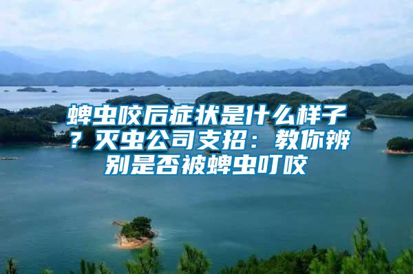 蜱蟲咬后癥狀是什么樣子？滅蟲公司支招：教你辨別是否被蜱蟲叮咬