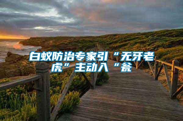 白蟻防治專家引“無(wú)牙老虎”主動(dòng)入“甕