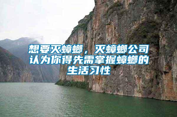 想要滅蟑螂，滅蟑螂公司認(rèn)為你得先需掌握蟑螂的生活習(xí)性