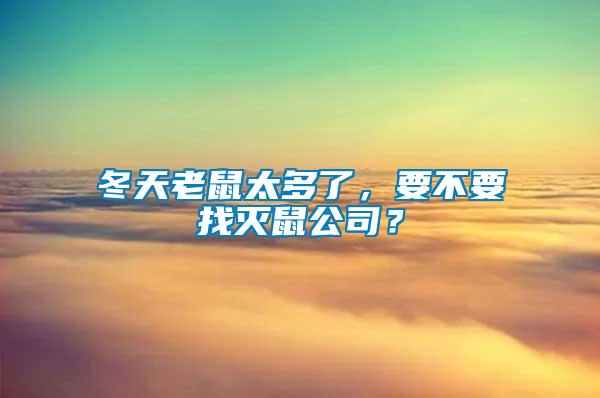 冬天老鼠太多了，要不要找滅鼠公司？