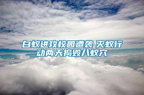 白蟻進(jìn)攻校園遭襲　滅蟻行動兩天搗毀八蟻穴