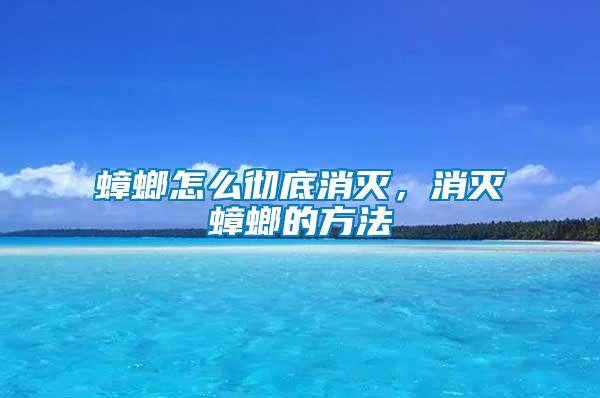 蟑螂怎么徹底消滅，消滅蟑螂的方法