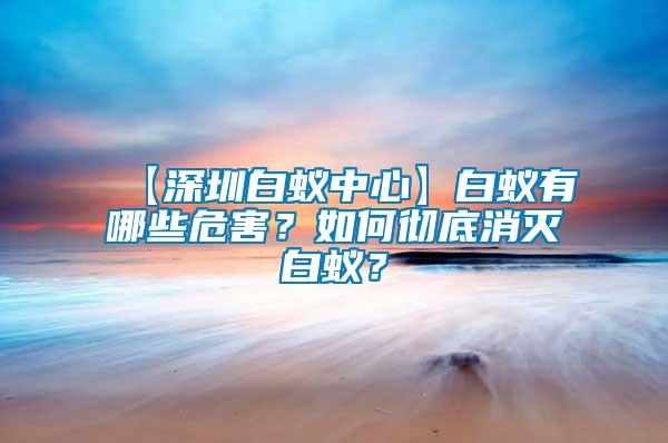【深圳白蟻中心】白蟻有哪些危害？如何徹底消滅白蟻？