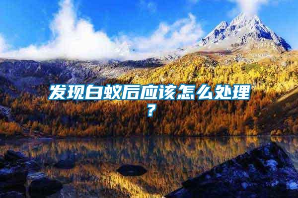 發(fā)現(xiàn)白蟻后應(yīng)該怎么處理？