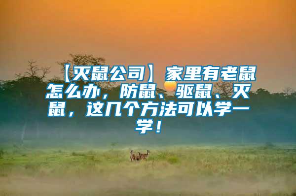 【滅鼠公司】家里有老鼠怎么辦，防鼠、驅(qū)鼠、滅鼠，這幾個(gè)方法可以學(xué)一學(xué)！