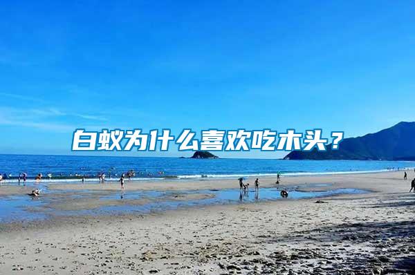 白蟻為什么喜歡吃木頭？