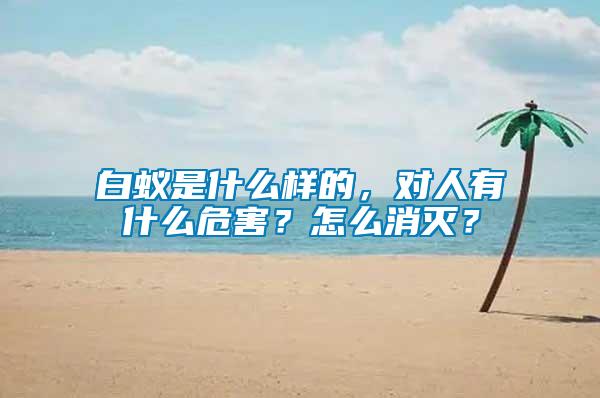 白蟻是什么樣的，對(duì)人有什么危害？怎么消滅？