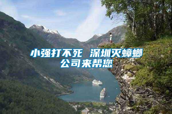 小強(qiáng)打不死 深圳滅蟑螂公司來(lái)幫您