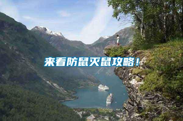 來看防鼠滅鼠攻略！