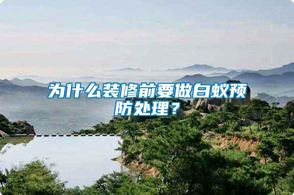 為什么裝修前要做白蟻預防處理？
