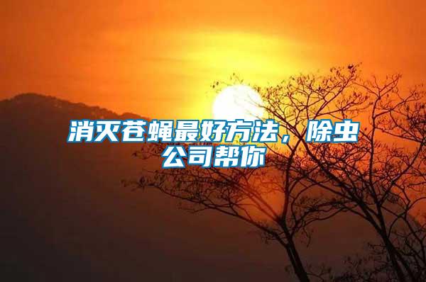 消滅蒼蠅最好方法，除蟲公司幫你