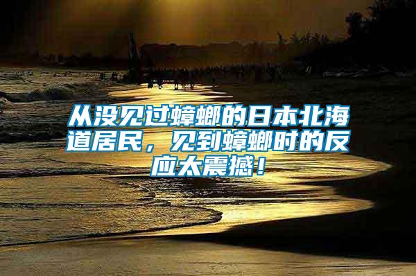 從沒見過蟑螂的日本北海道居民，見到蟑螂時的反應太震撼！