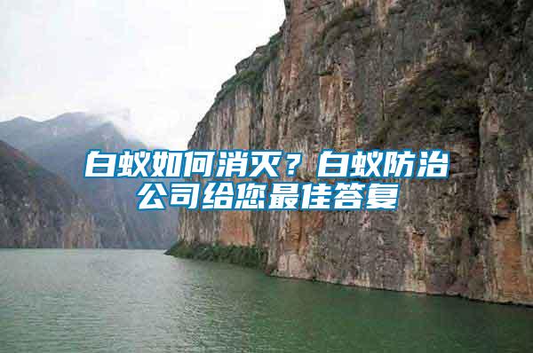 白蟻如何消滅？白蟻防治公司給您最佳答復