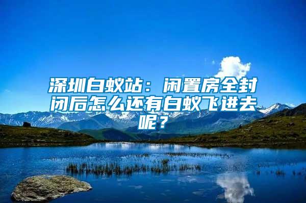 深圳白蟻站：閑置房全封閉后怎么還有白蟻飛進(jìn)去呢？