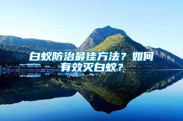 白蟻防治最佳方法？如何有效滅白蟻？