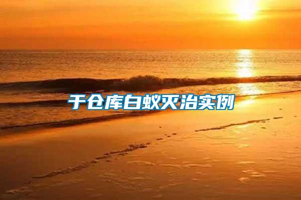 于倉庫白蟻滅治實(shí)例