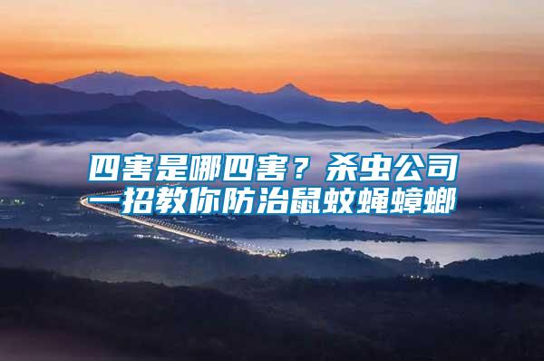 四害是哪四害？殺蟲(chóng)公司一招教你防治鼠蚊蠅蟑螂