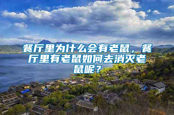 餐廳里為什么會有老鼠，餐廳里有老鼠如何去消滅老鼠呢？