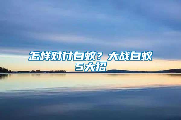怎樣對付白蟻？大戰(zhàn)白蟻5大招