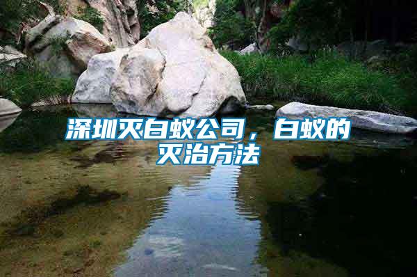 深圳滅白蟻公司，白蟻的滅治方法