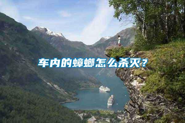 車內(nèi)的蟑螂怎么殺滅？
