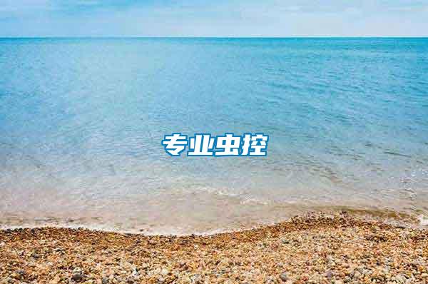 專業(yè)蟲(chóng)控