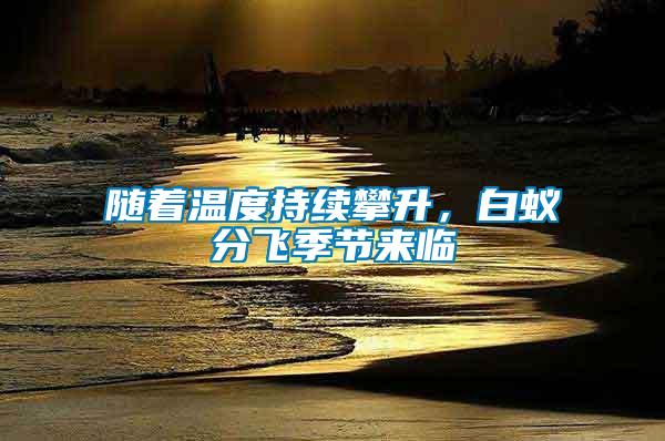 隨著溫度持續(xù)攀升，白蟻分飛季節(jié)來臨